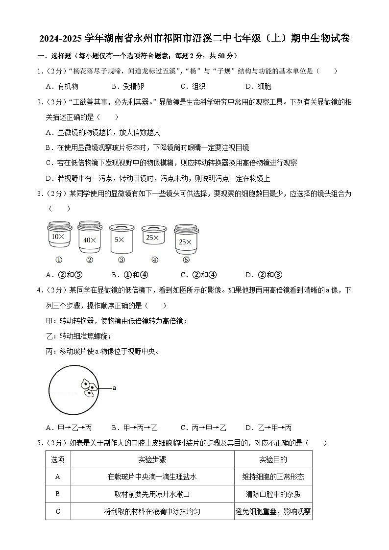 湖南省祁阳市浯溪第二中学2024-2025学年七年级上学期期中学情监测生物试卷-A4第1页