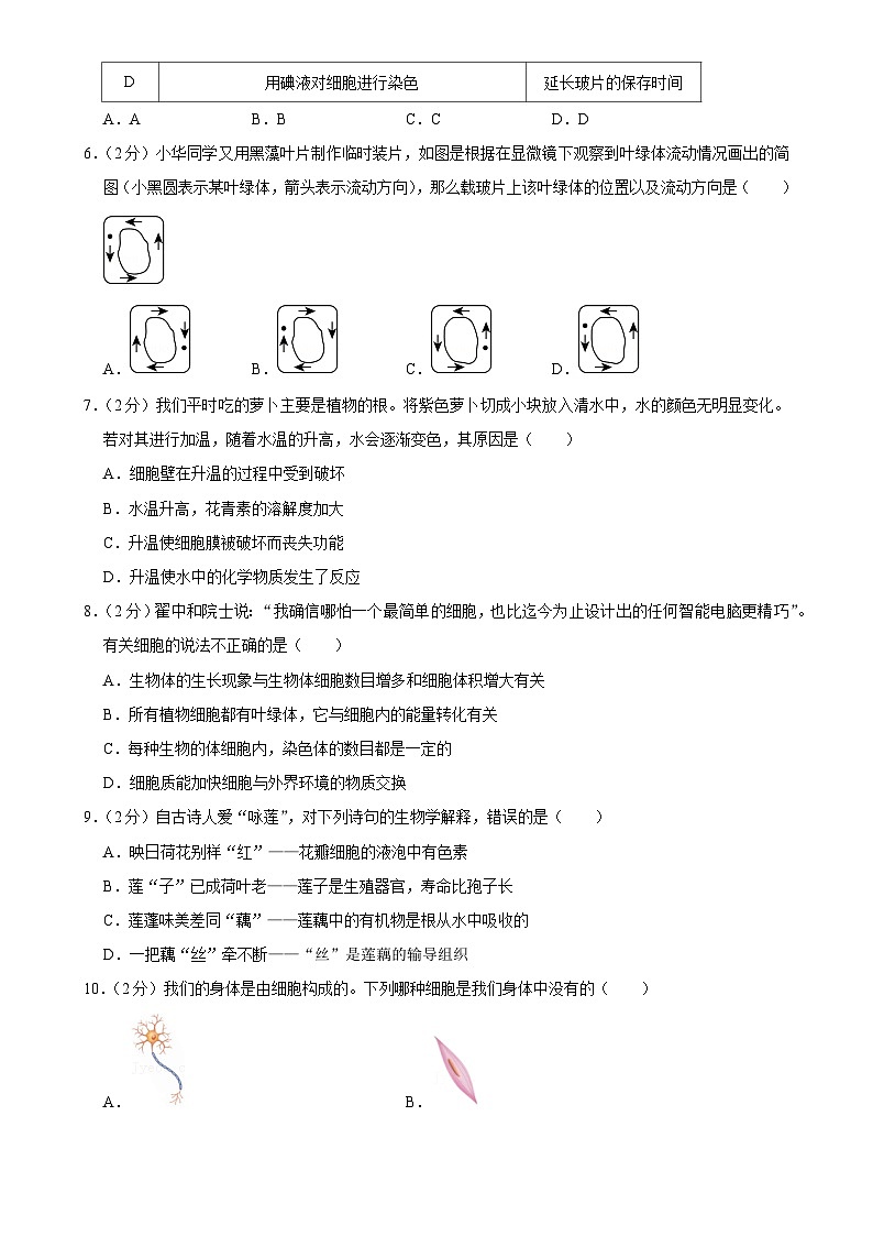 湖南省祁阳市浯溪第二中学2024-2025学年七年级上学期期中学情监测生物试卷-A4第2页