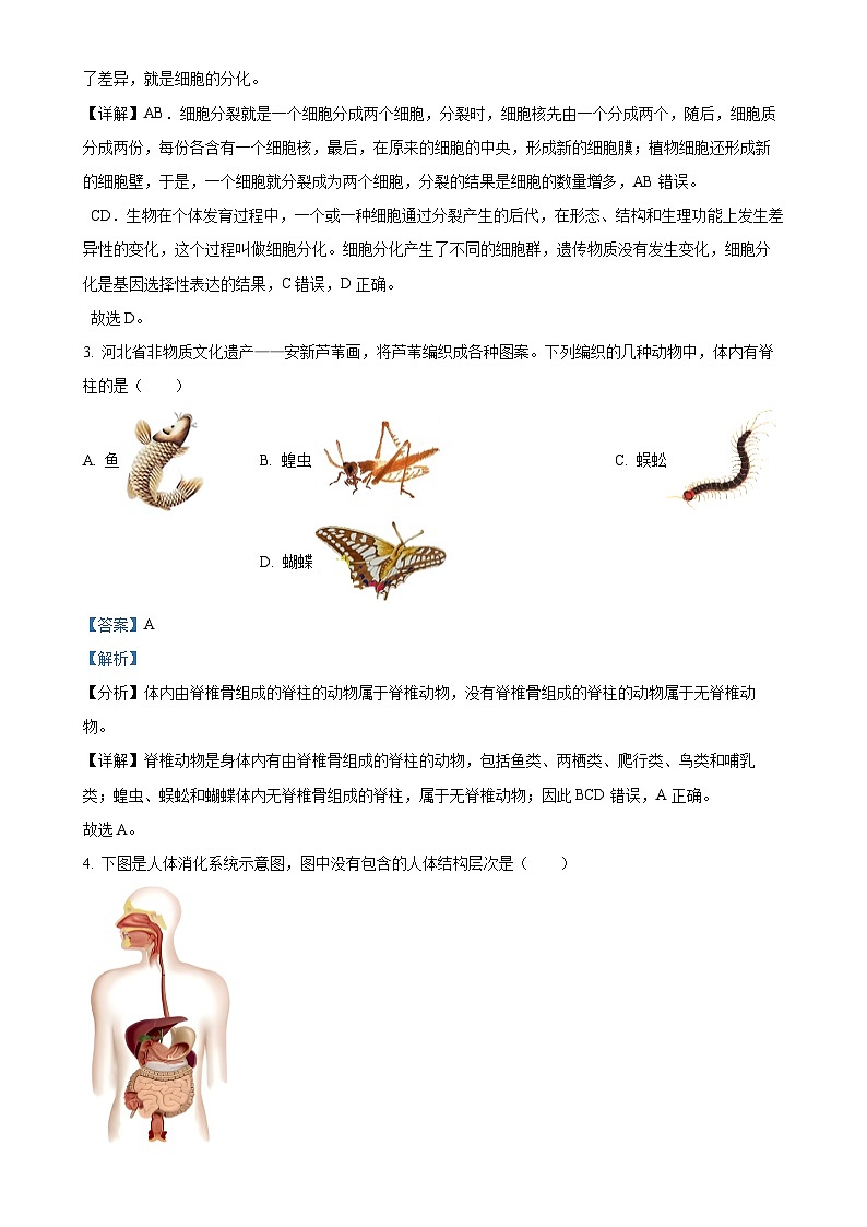 河北省保定市高碑店市2024-2025学年七年级上学期期中生物试题（解析版）-A4第2页