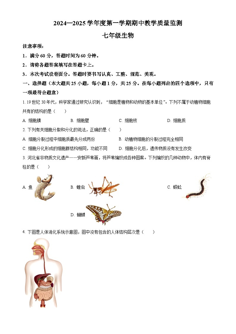 河北省保定市高碑店市2024-2025学年七年级上学期期中生物试题（原卷版）-A4第1页