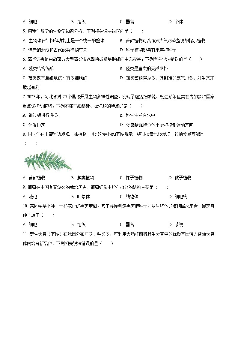 河北省保定市高碑店市2024-2025学年七年级上学期期中生物试题（原卷版）-A4第2页