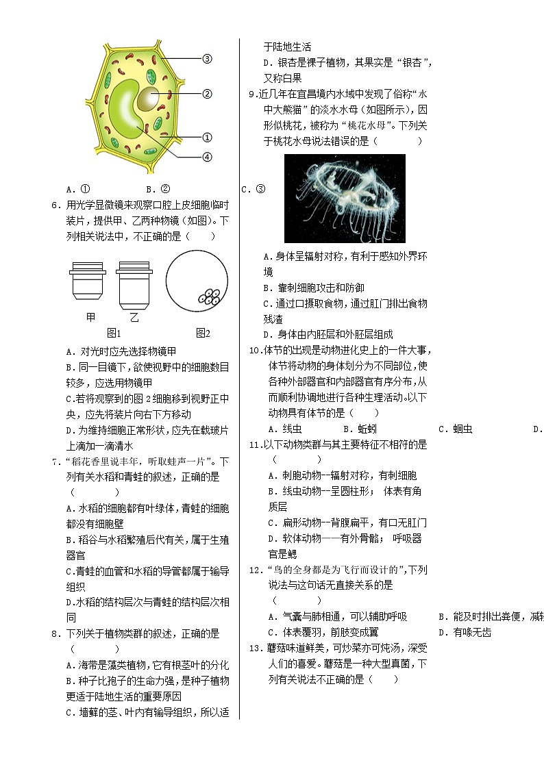 七年级生物期末模拟卷【测试范围：人教版2024七上全册】（考试版A3）（河南专用）-A4第2页