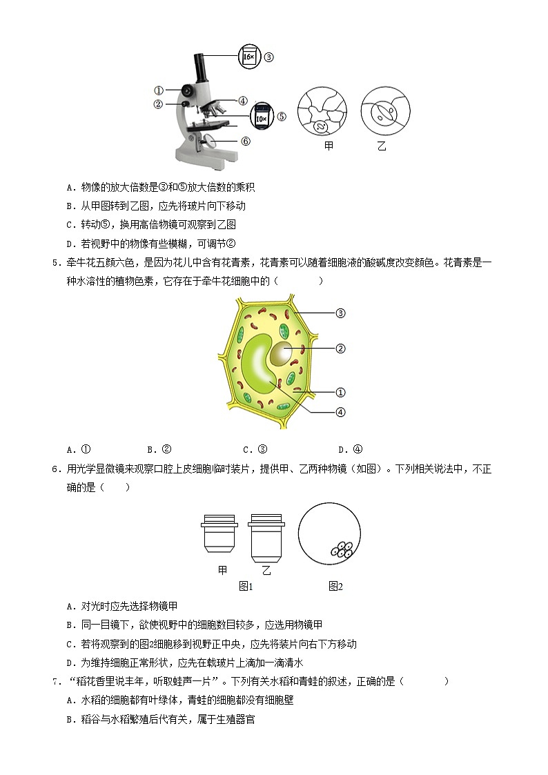 七年级生物期末模拟卷【测试范围：人教版2024七上全册】（考试版A4）（河南专用）-A4第2页