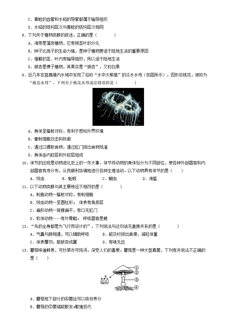 七年级生物期末模拟卷【测试范围：人教版2024七上全册】（考试版A4）（河南专用）-A4第3页