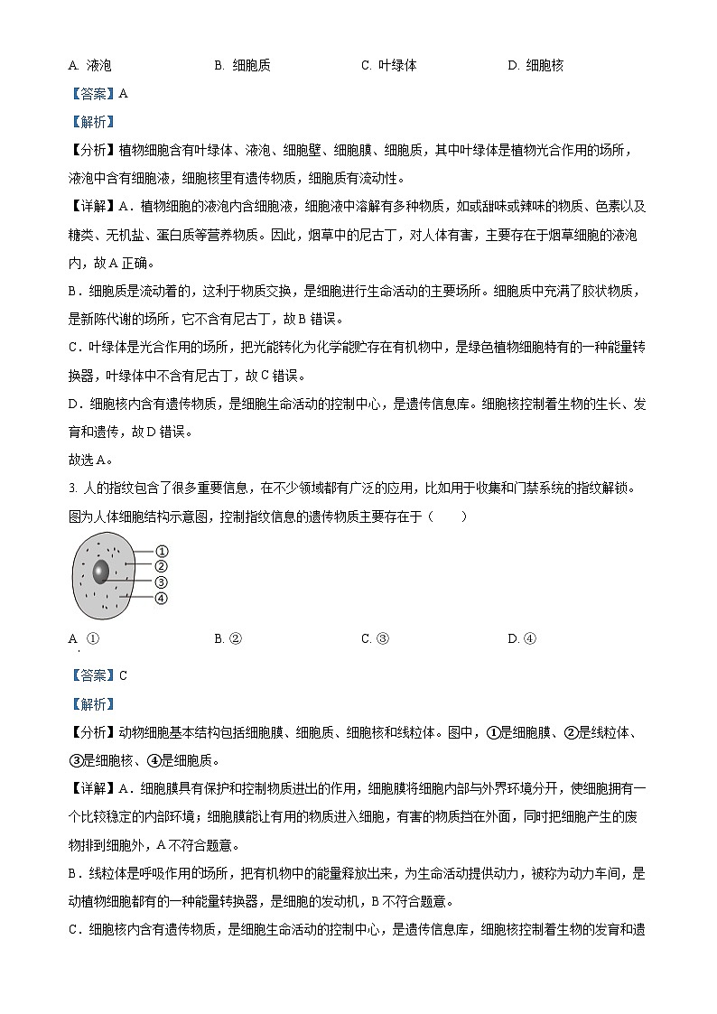 山东省青岛市即墨区实验学校2024-2025学年七年级上学期期中生物学试题（解析版）-A4第2页