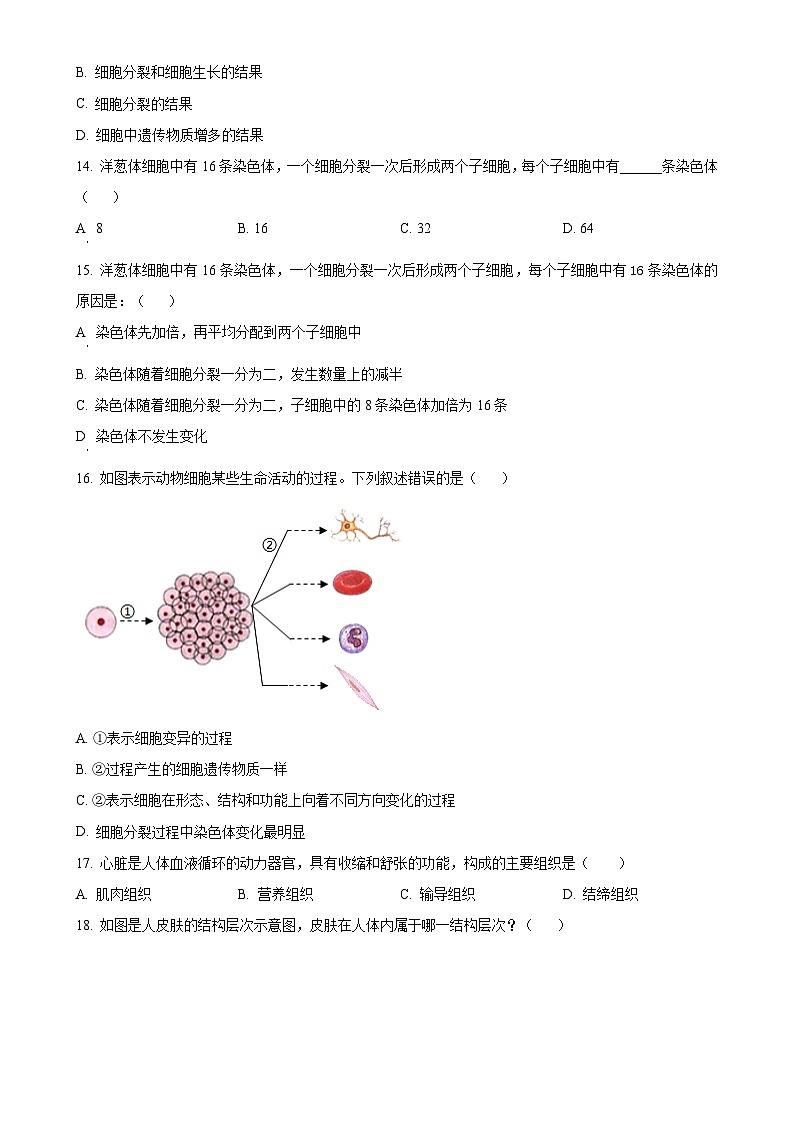 安徽省合肥市包河区大联考2024-2025学年七年级上学期期中生物试题（原卷版）-A4第3页