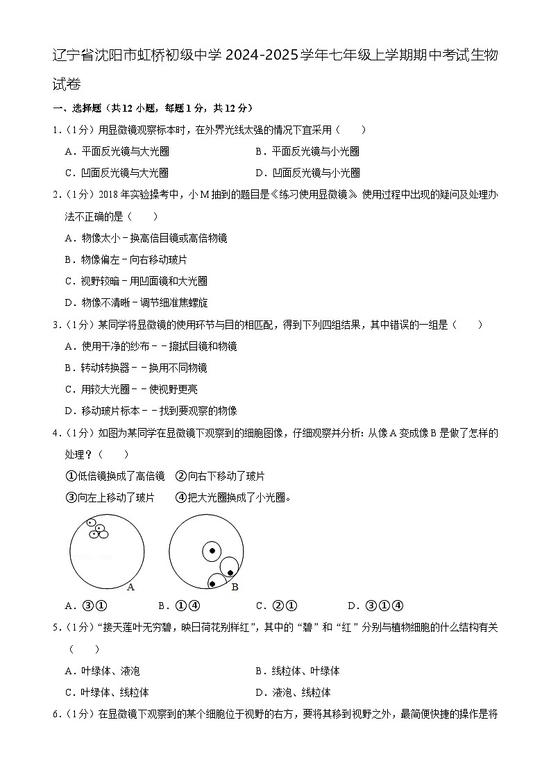 辽宁省沈阳市虹桥初级中学2024-2025学年七年级上学期期中考试生物试卷-A4第1页