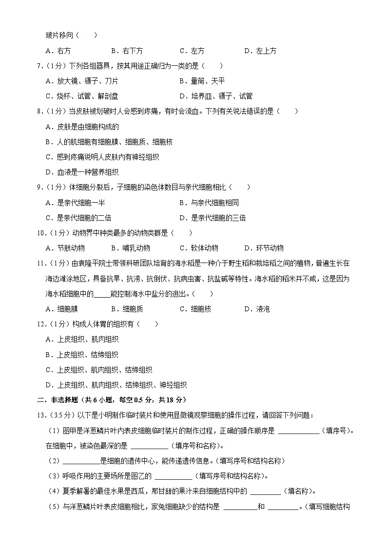 辽宁省沈阳市虹桥初级中学2024-2025学年七年级上学期期中考试生物试卷-A4第2页