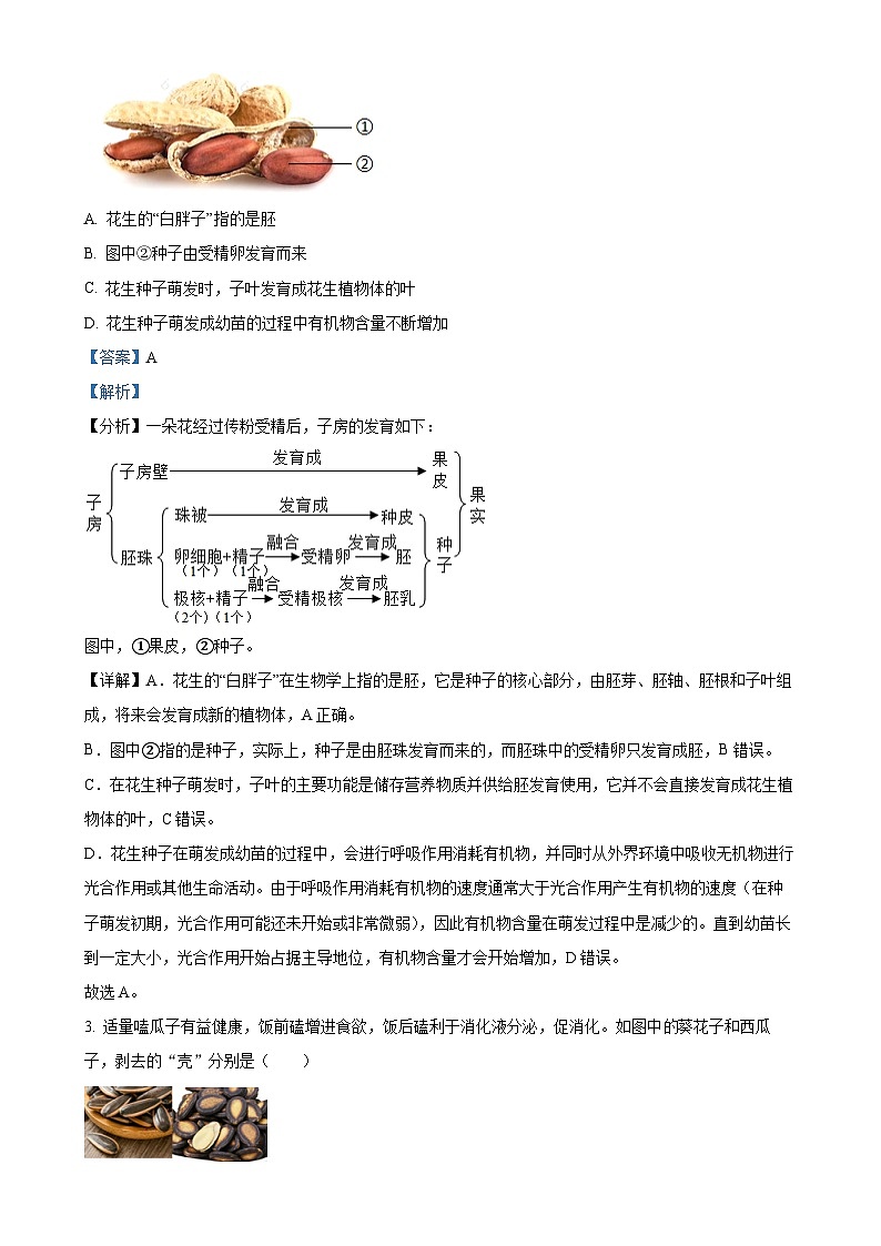 山东省济南市槐荫区2024-2025学年八年级上学期期中生物试题（解析版）-A4第2页