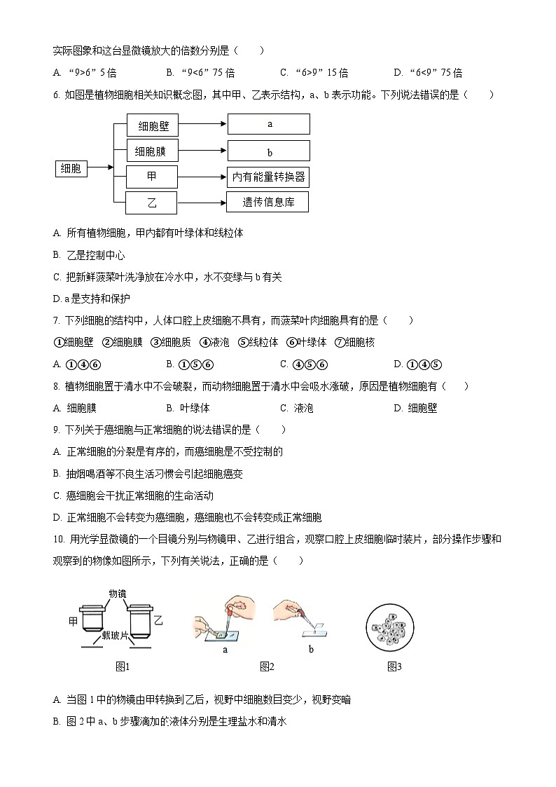 山东省青岛市青岛超银中学2024-2025学年七年级上学期期中生物学试题（原卷版）-A4第2页