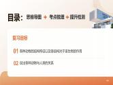 复习专题一 动物的主要类群（串讲课件）-2024-2025学年八年级生物上学期期末考点大串讲（人教版）