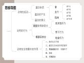 复习专题二 动物的运动和行为+动物在生物圈中的作用（串讲课件）-2024-2025学年八年级生物上学期期末考点大串讲（人教版）