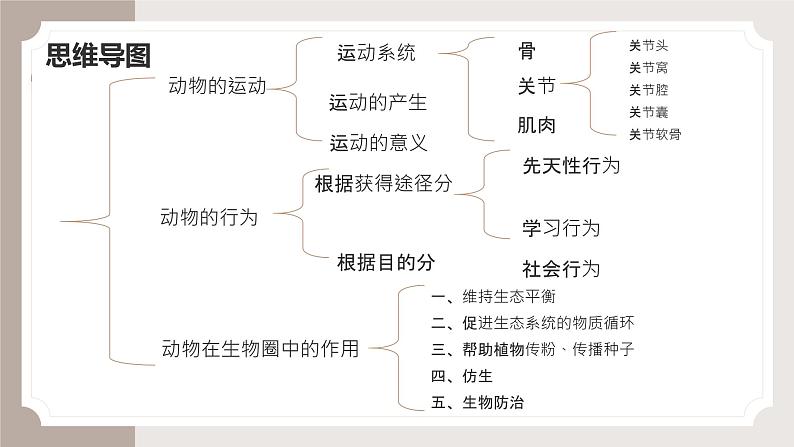 复习专题二 动物的运动和行为+动物在生物圈中的作用（串讲课件）-2024-2025学年八年级生物上学期期末考点大串讲（人教版）第3页