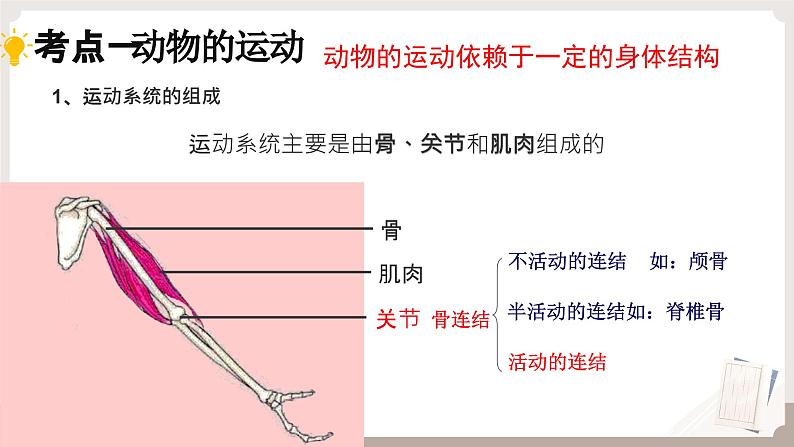 复习专题二 动物的运动和行为+动物在生物圈中的作用（串讲课件）-2024-2025学年八年级生物上学期期末考点大串讲（人教版）第4页