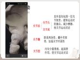 复习专题二 动物的运动和行为+动物在生物圈中的作用（串讲课件）-2024-2025学年八年级生物上学期期末考点大串讲（人教版）