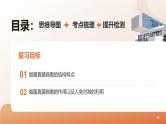 复习专题三 细菌、真菌和病毒（串讲课件）-2024-2025学年八年级生物上学期期末考点大串讲（人教版）