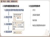 复习专题三 细菌、真菌和病毒（串讲课件）-2024-2025学年八年级生物上学期期末考点大串讲（人教版）