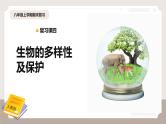 复习专题四 生物的多样性及保护（串讲课件）-2024-2025学年八年级生物上学期期末考点大串讲（人教版）