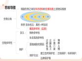 复习专题四 生物的多样性及保护（串讲课件）-2024-2025学年八年级生物上学期期末考点大串讲（人教版）