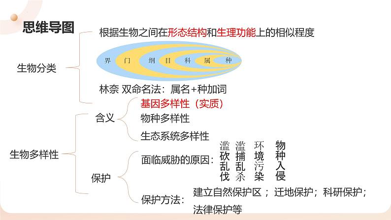 复习专题四 生物的多样性及保护（串讲课件）-2024-2025学年八年级生物上学期期末考点大串讲（人教版）第3页