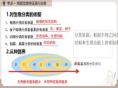 复习专题四 生物的多样性及保护（串讲课件）-2024-2025学年八年级生物上学期期末考点大串讲（人教版）