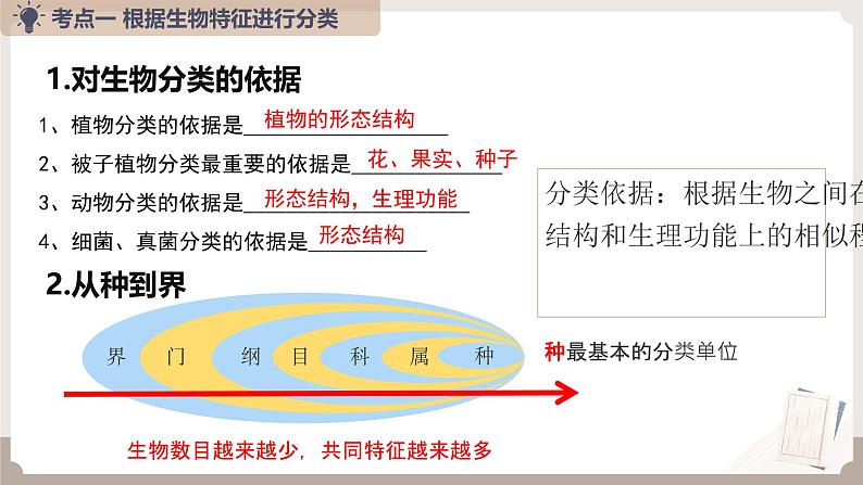 复习专题四 生物的多样性及保护（串讲课件）-2024-2025学年八年级生物上学期期末考点大串讲（人教版）第4页