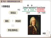复习专题四 生物的多样性及保护（串讲课件）-2024-2025学年八年级生物上学期期末考点大串讲（人教版）