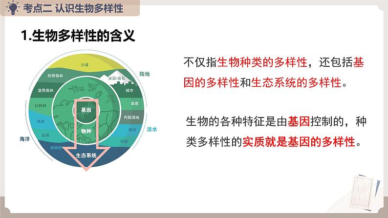 复习专题四 生物的多样性及保护（串讲课件）-2024-2025学年八年级生物上学期期末考点大串讲（人教版）第7页