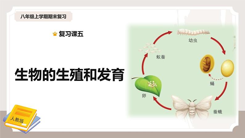 复习专题五 生物的生殖和发育（串讲课件）-2024-2025学年八年级生物上学期期末考点大串讲（人教版）第1页