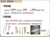 复习专题五 生物的生殖和发育（串讲课件）-2024-2025学年八年级生物上学期期末考点大串讲（人教版）