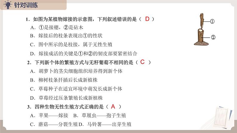 复习专题五 生物的生殖和发育（串讲课件）-2024-2025学年八年级生物上学期期末考点大串讲（人教版）第7页