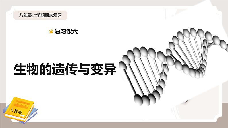 复习专题六 生物的遗传与变异（串讲课件）-2024-2025学年八年级生物上学期期末考点大串讲（人教版）第1页