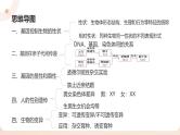 复习专题六 生物的遗传与变异（串讲课件）-2024-2025学年八年级生物上学期期末考点大串讲（人教版）