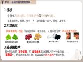 复习专题六 生物的遗传与变异（串讲课件）-2024-2025学年八年级生物上学期期末考点大串讲（人教版）