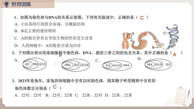 复习专题六 生物的遗传与变异（串讲课件）-2024-2025学年八年级生物上学期期末考点大串讲（人教版）第8页