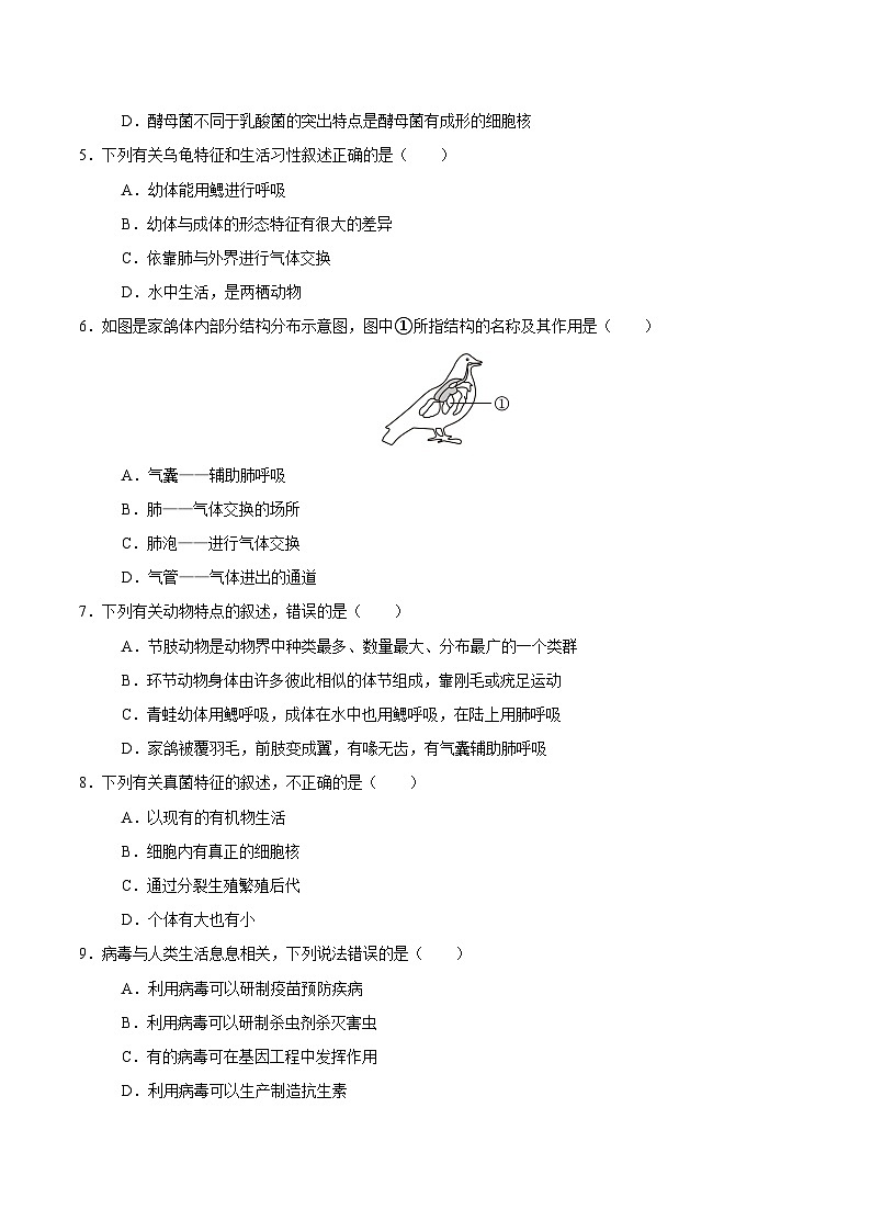 期末模拟卷01（考试范围：八上）（原卷版）第2页