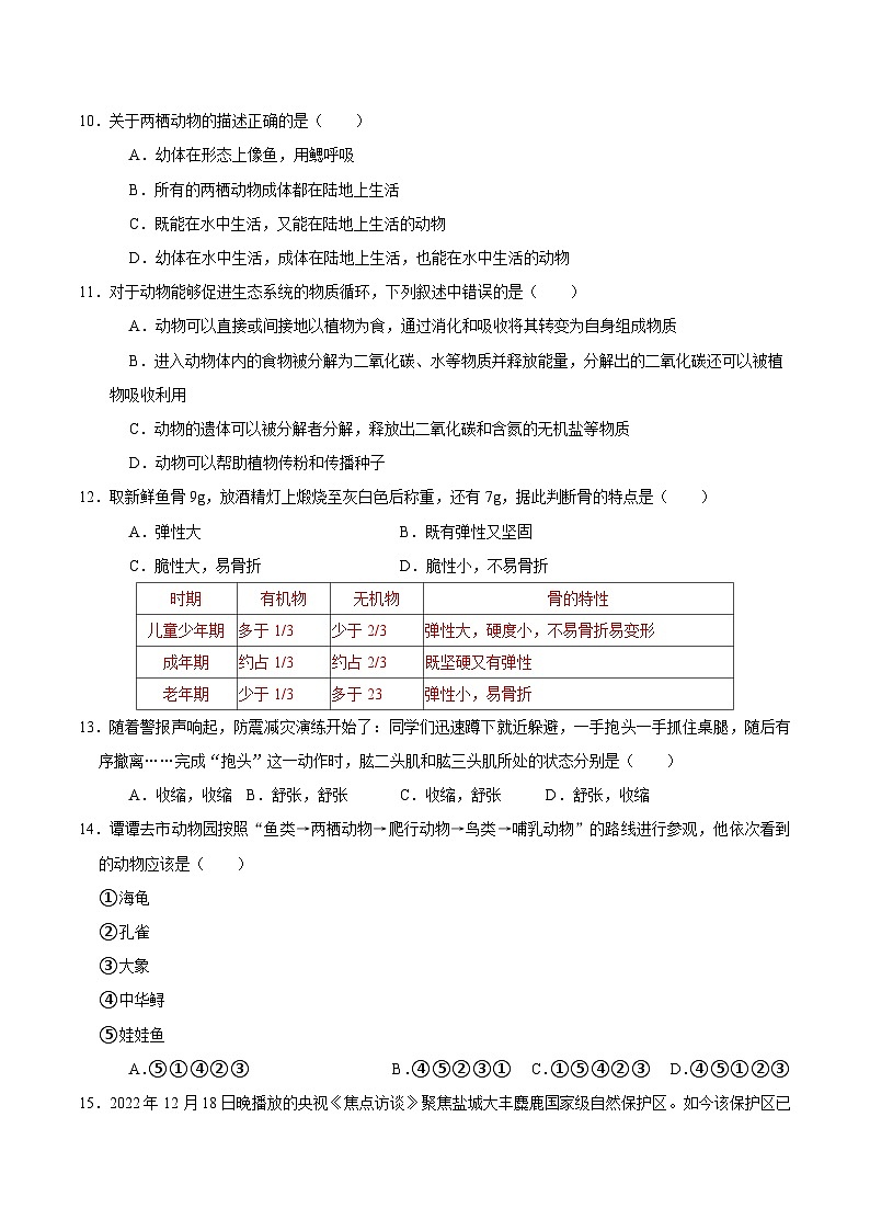 期末模拟卷01（考试范围：八上）（原卷版）第3页