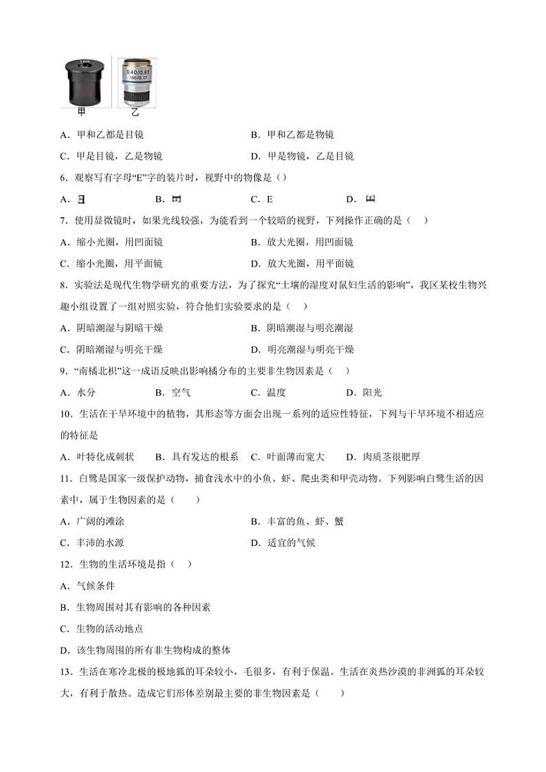 2024～2025学年江苏省镇江市句容市七年级(上)期中生物试卷(含解析)第2页