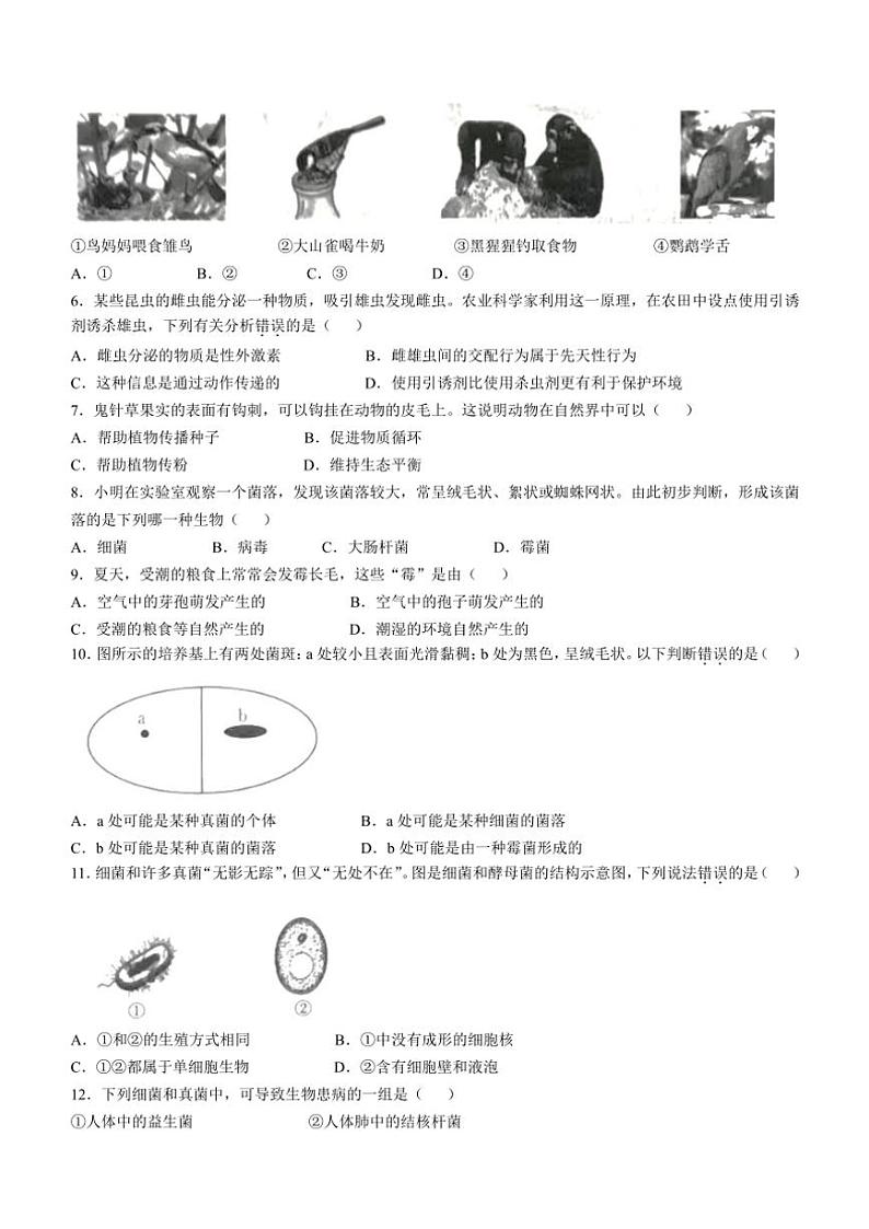 2024～2025学年江西省九江市柴桑区五校联考(月考)八年级(上)12月月考生物试卷(无答案)第2页