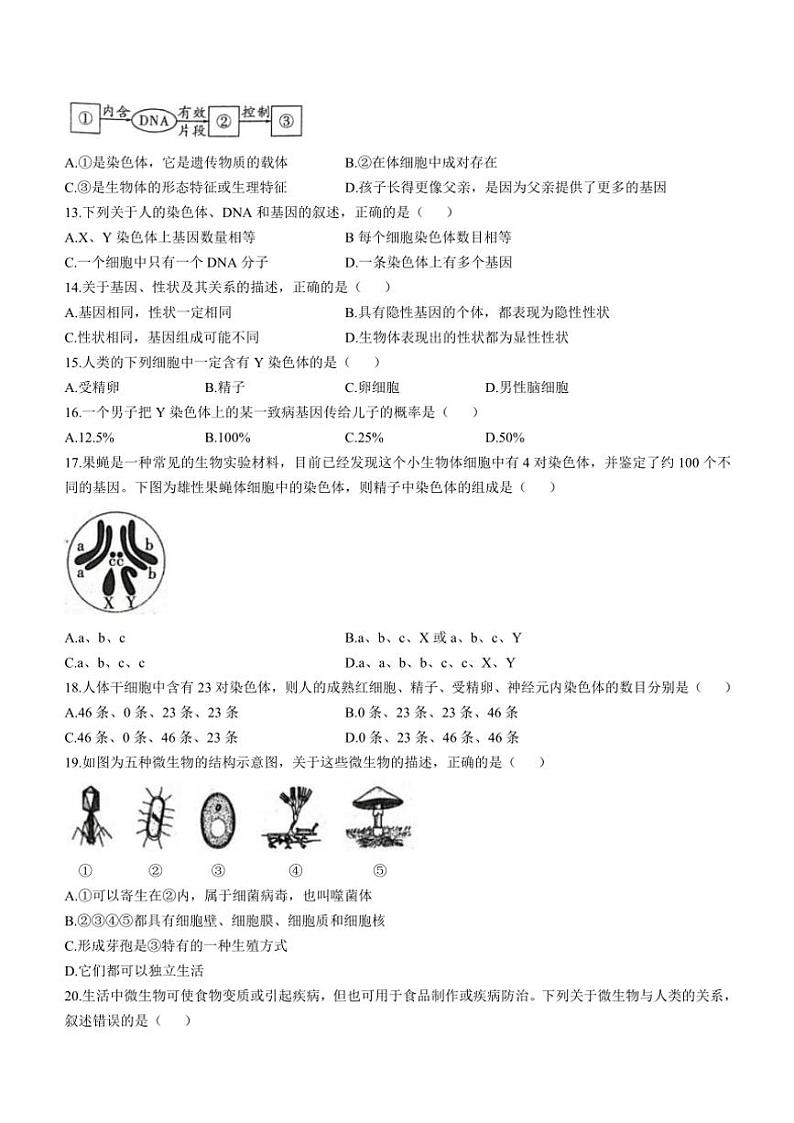 2024～2025学年河北省唐山市路南区八年级(上)12月阶段学业抽样评估生物试卷(含答案)第3页