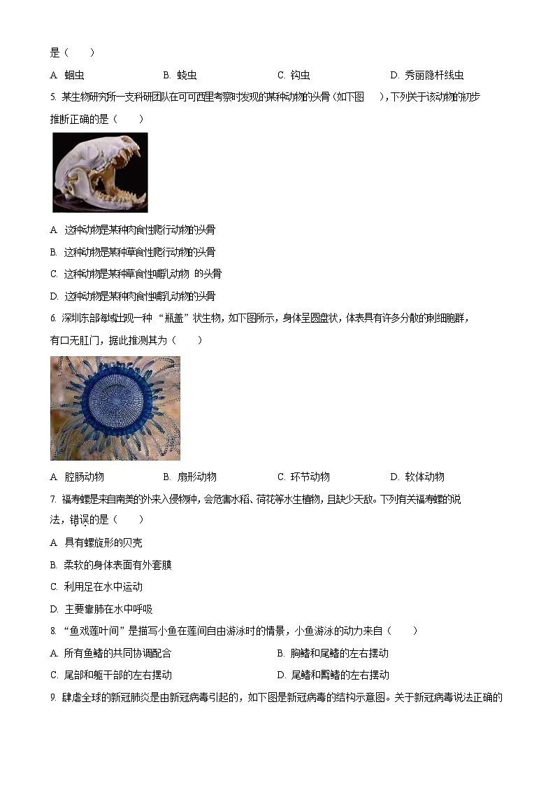 广东省广州市天河区2023-2024学年八年级上学期期末生物试题（含答案）第2页