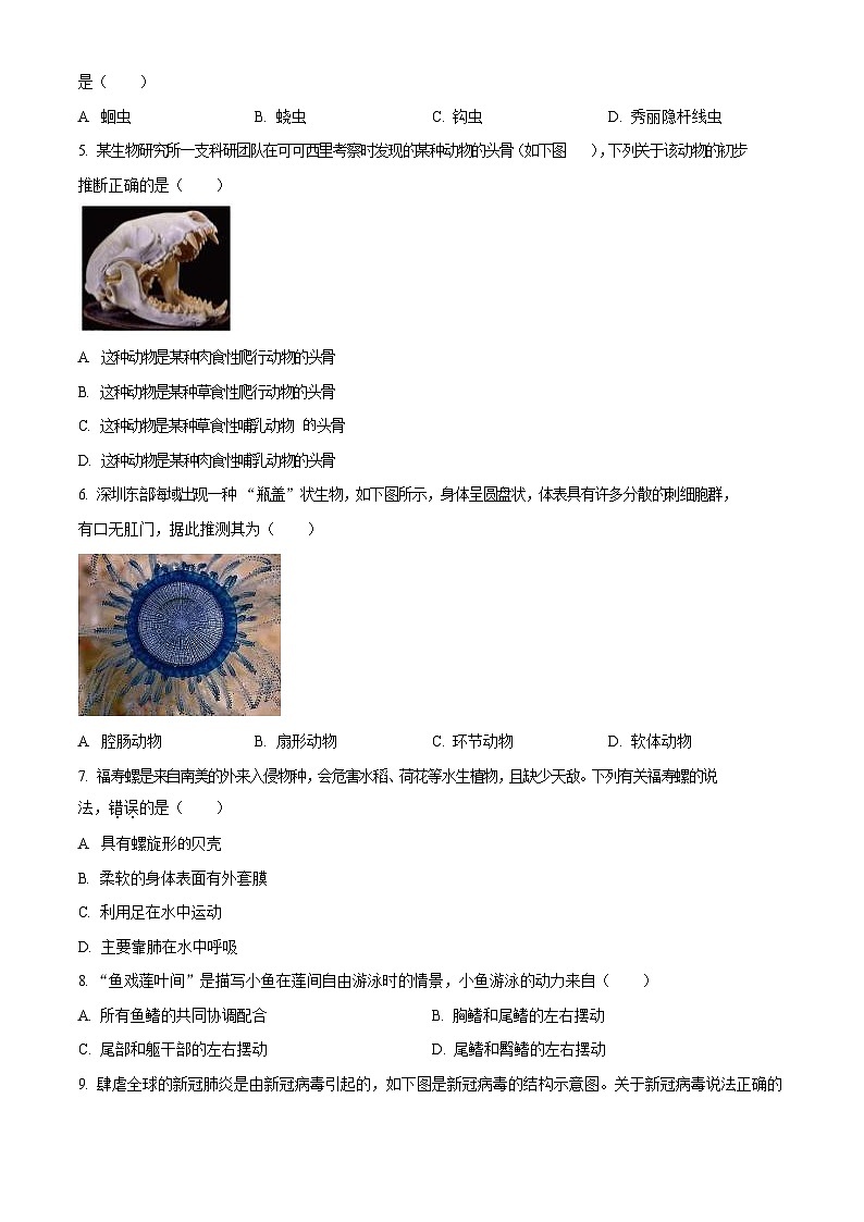 广东省广州市天河区2023-2024学年八年级上学期期末生物试题（含答案）第2页