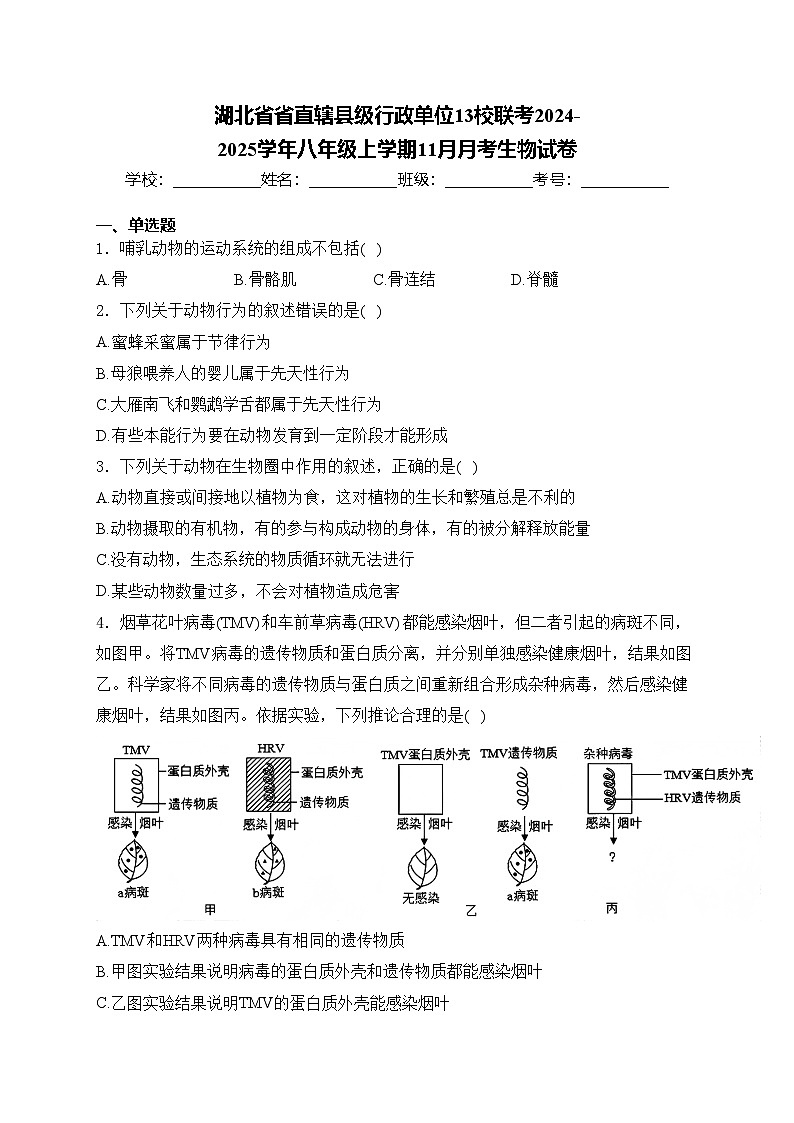 湖北省省直辖县级行政单位13校联考2024-2025学年八年级上学期11月月考生物试卷(含答案)第1页