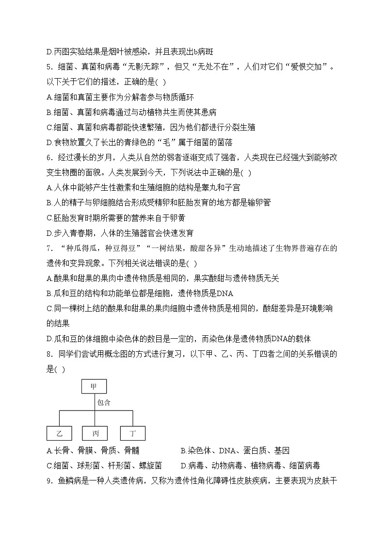 湖北省省直辖县级行政单位13校联考2024-2025学年八年级上学期11月月考生物试卷(含答案)第2页