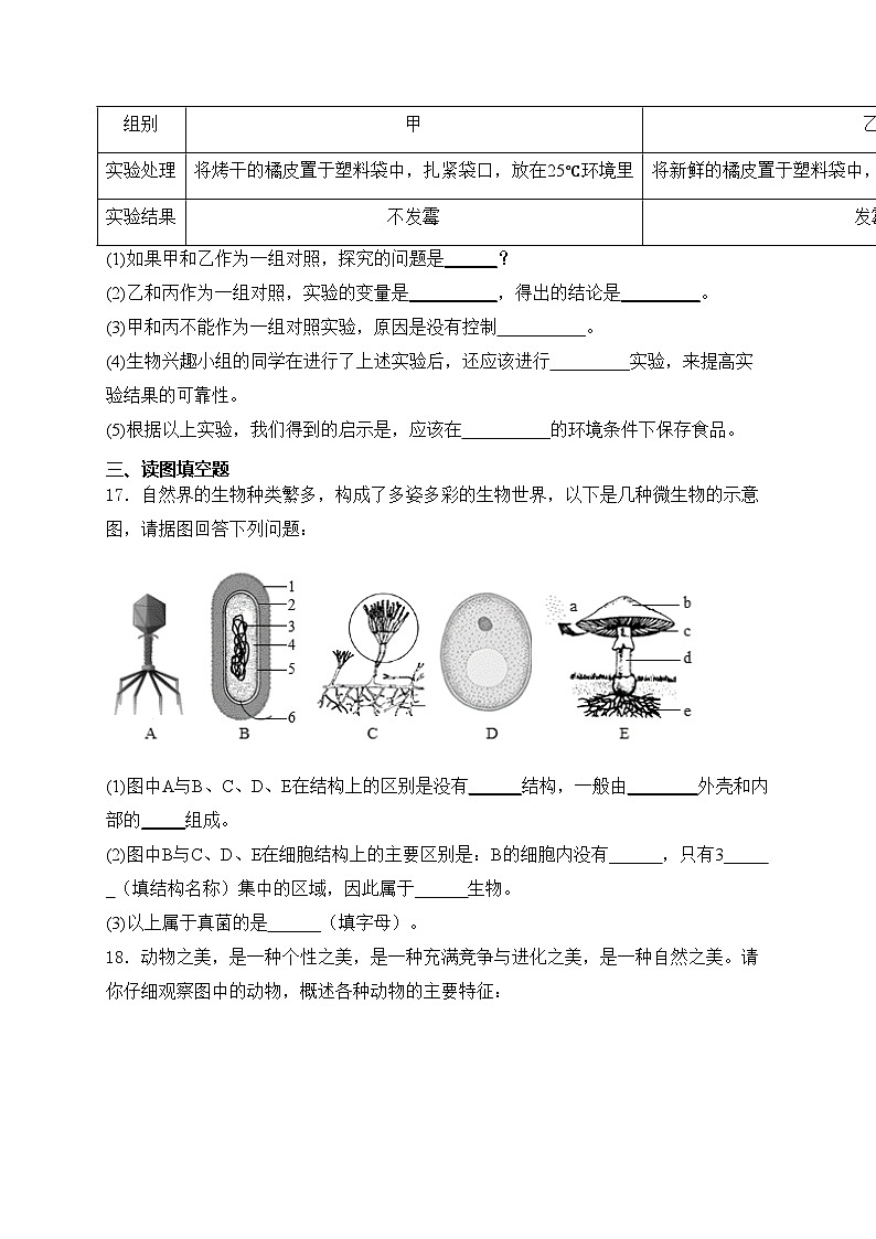 辽阳市第一中学2024-2025学年八年级上学期第一次月考生物试卷(含答案)第3页