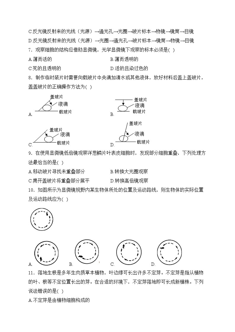 山东省聊城市阳谷县2024-2025学年七年级上学期11月期中考试生物试卷(含答案)第2页