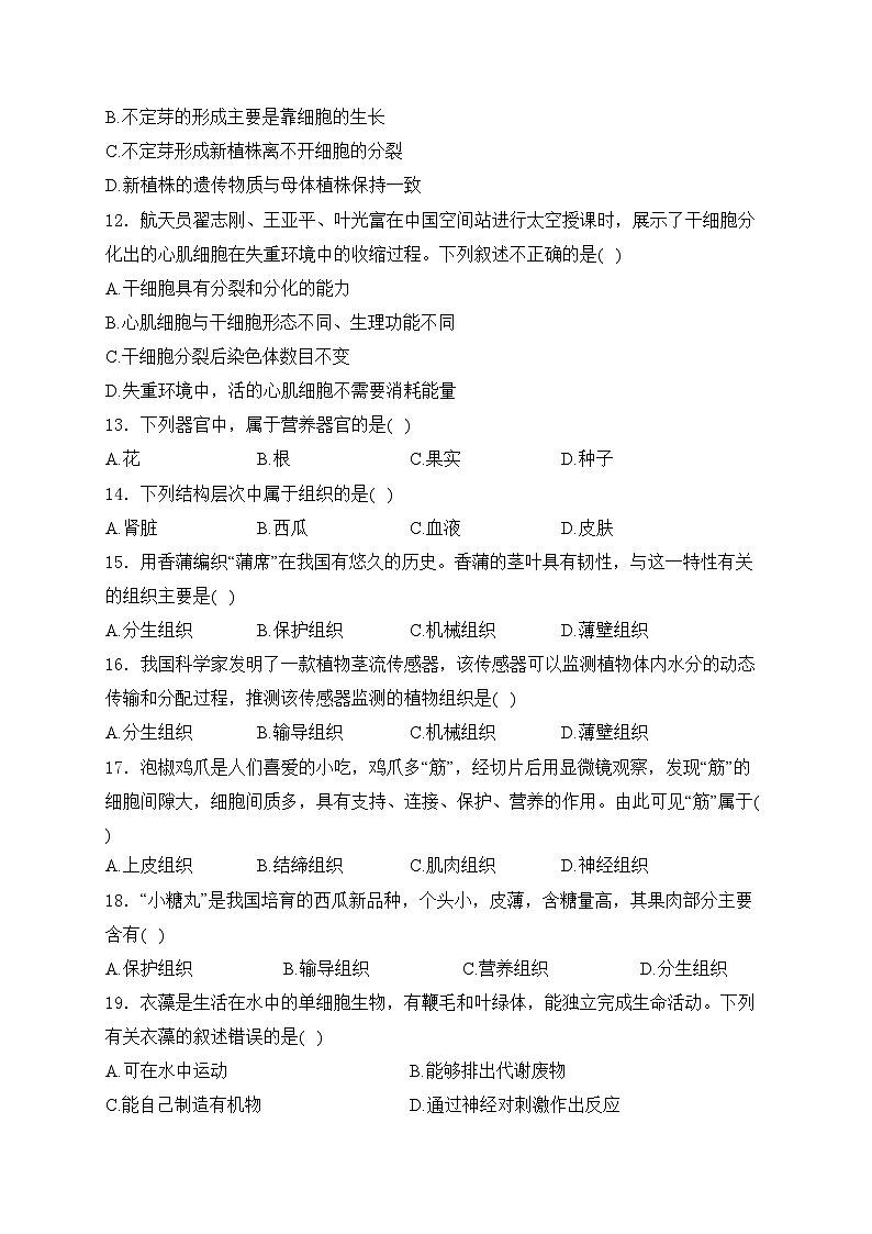 山东省聊城市阳谷县2024-2025学年七年级上学期11月期中考试生物试卷(含答案)第3页