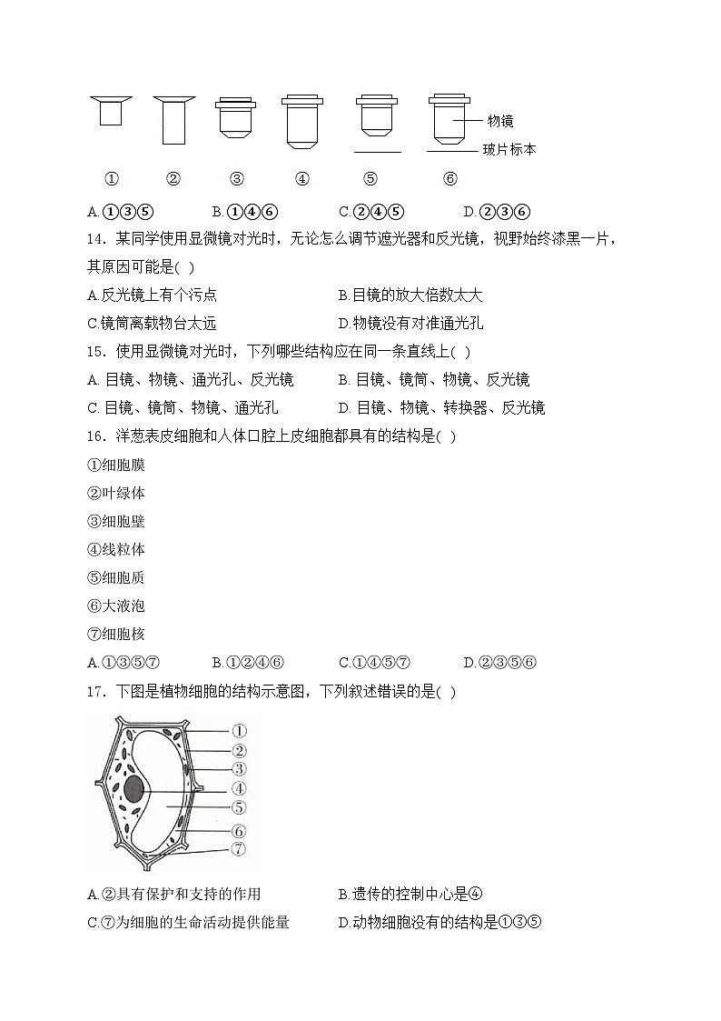 山东省潍坊市诸城繁华中学2024-2025学年七年级10月月考生物学试卷(含答案)第3页