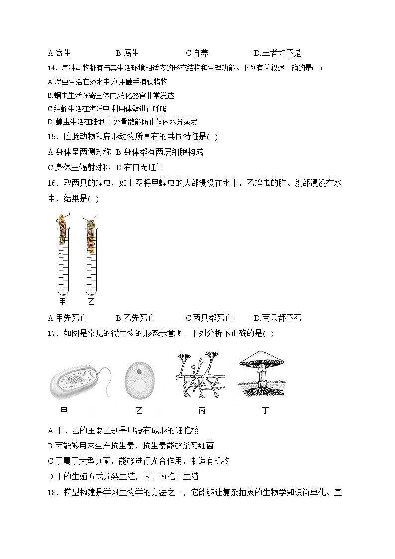 四川省泸州市泸州老窖天府中学2024-2025学年八年级上学期11月期中考试生物试卷(含答案)第3页