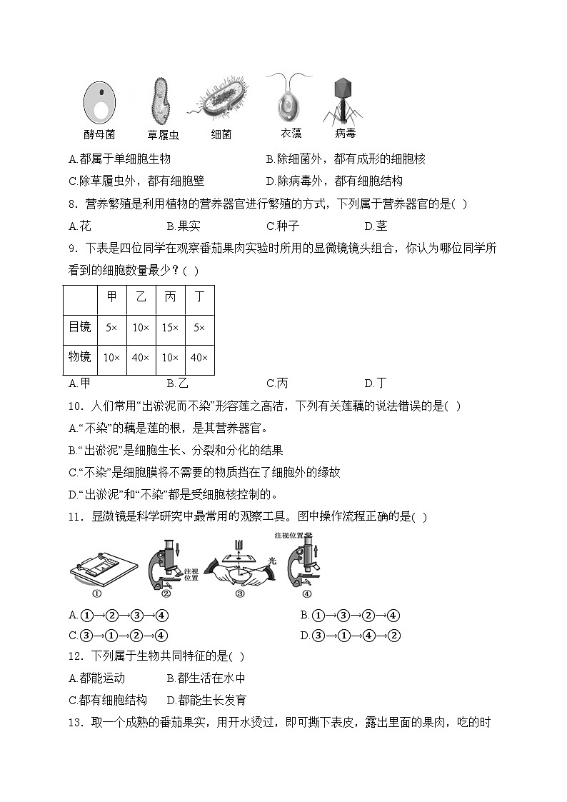 四川省泸州市泸州老窖天府中学2024-2025学年七年级上学期11月期中考试生物试卷(含答案)第2页